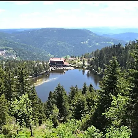 Kappler Nest Appartement Kappelrodeck