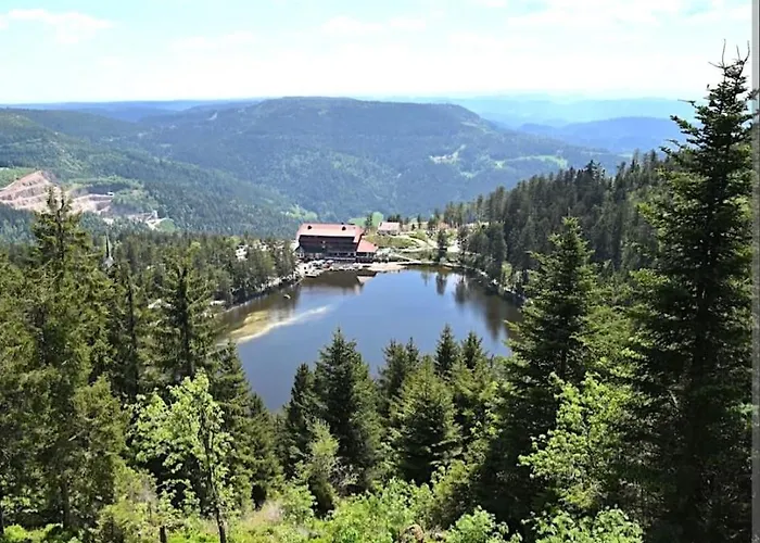 Kappler Nest Apartamento Kappelrodeck